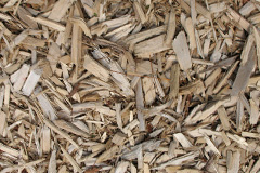 biomass boilers Hall Broom